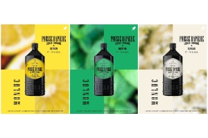 Pousse Rapière, nouvelle présentation