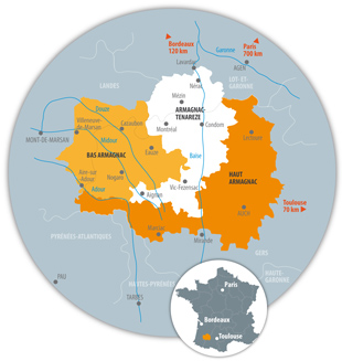 AOC Armagnac, Origine, Terroirs et Dégustation